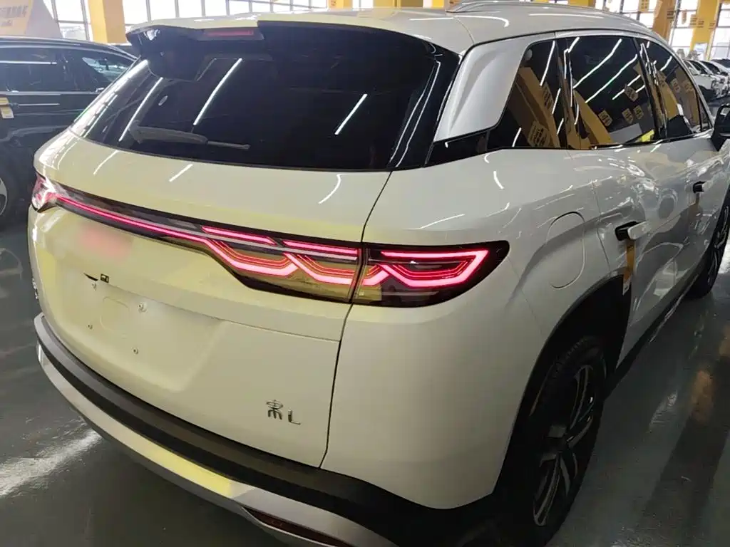 BYD L DM-i — фото 6