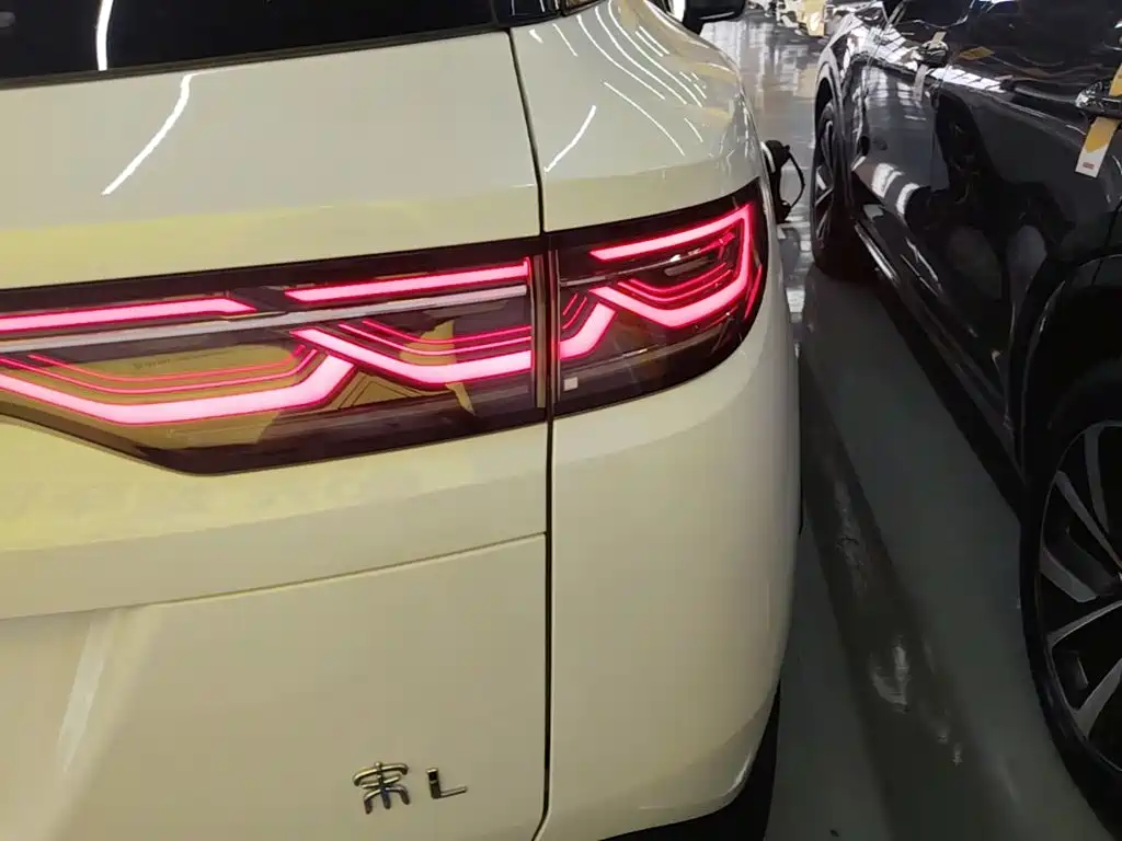 BYD L DM-i — фото 7