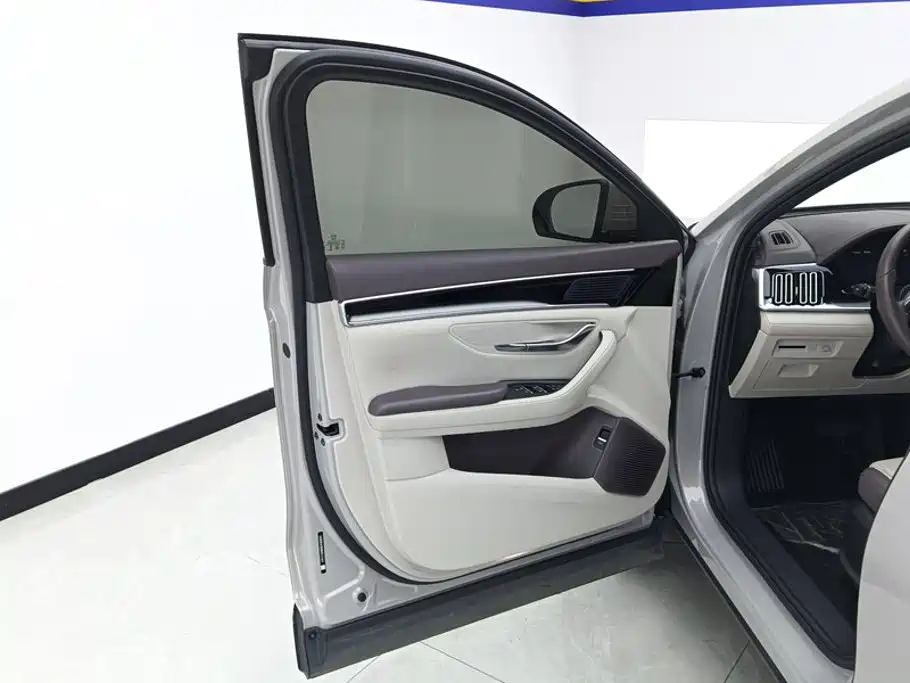 BYD PLUS New Energy — фото 7