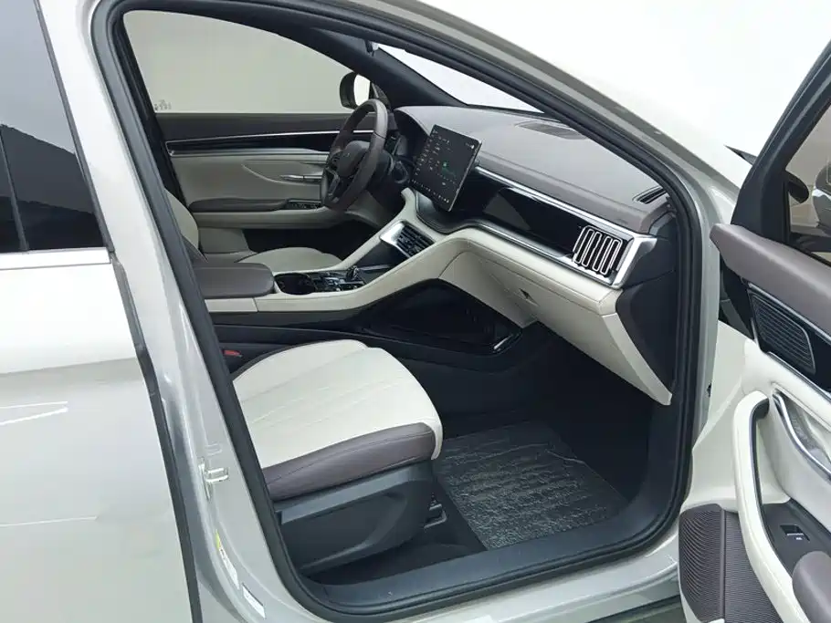 BYD PLUS New Energy — фото 8