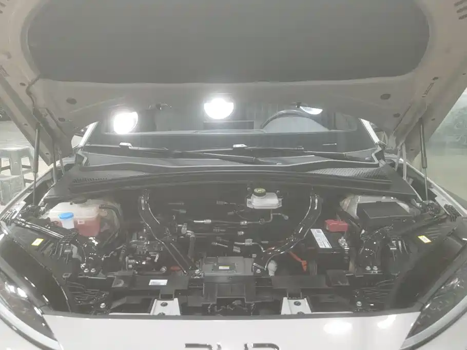 BYD PLUS New Energy — фото 10