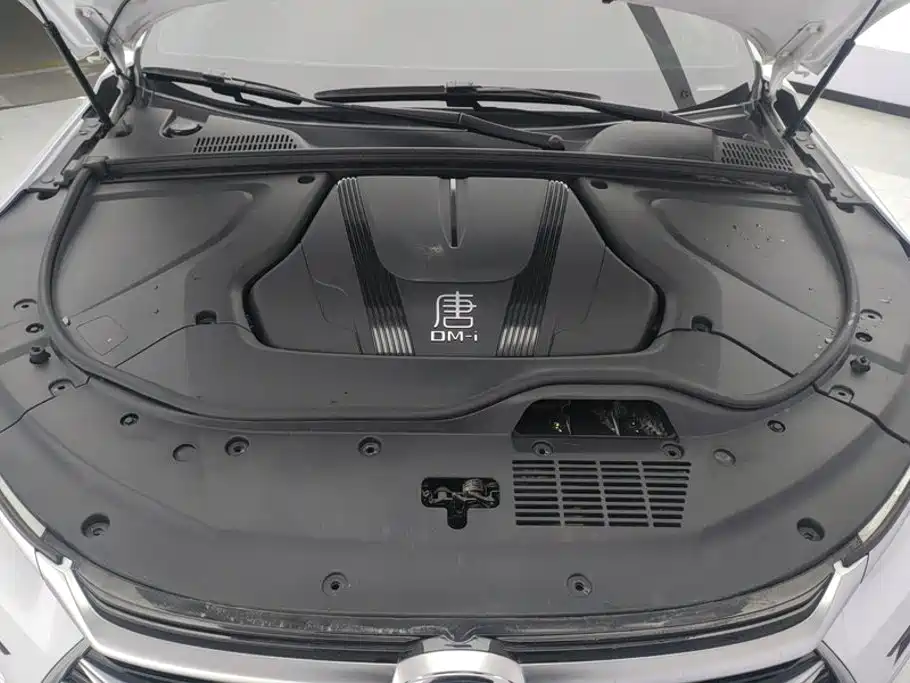 BYD Tang New Energy — фото 10