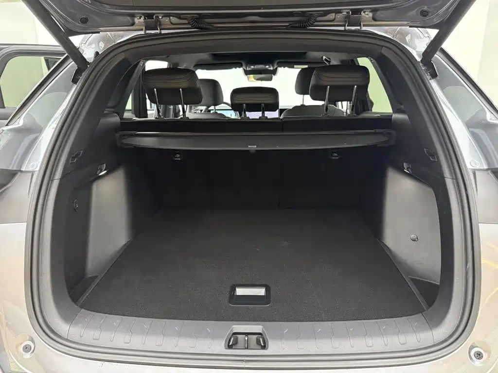 BYD L DM-i — фото 6