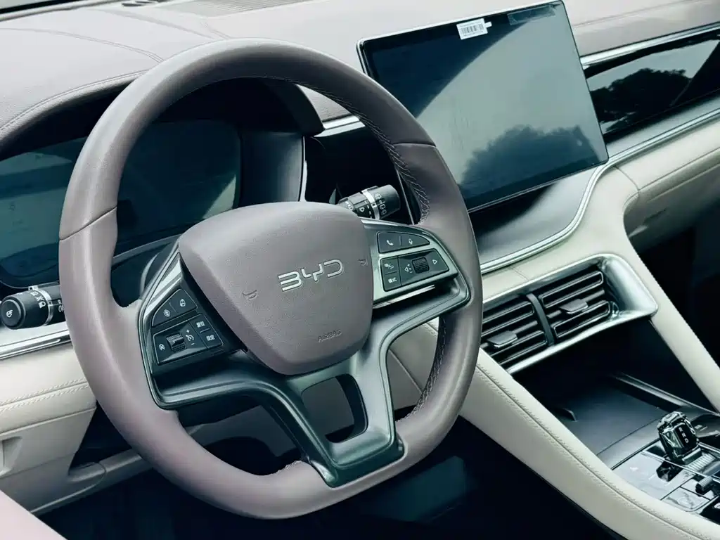 BYD PLUS New Energy — фото 4