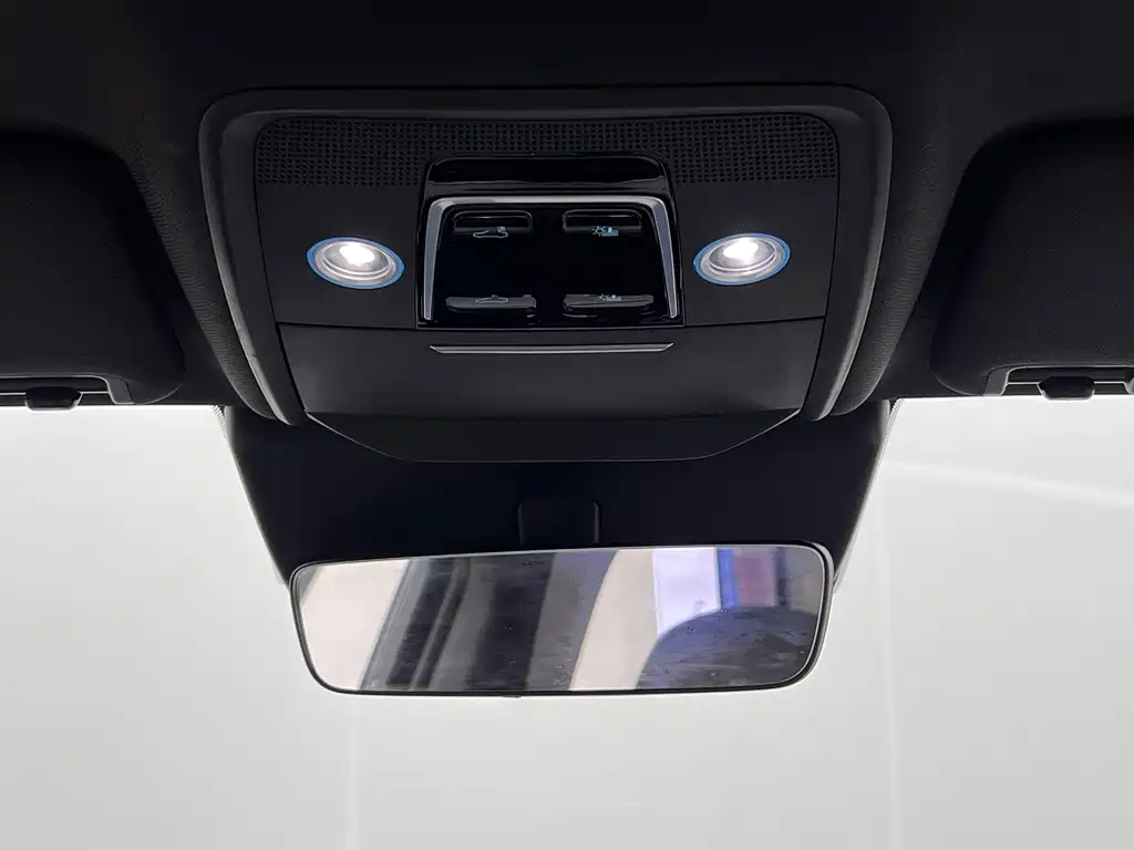 BYD PLUS New Energy — фото 23
