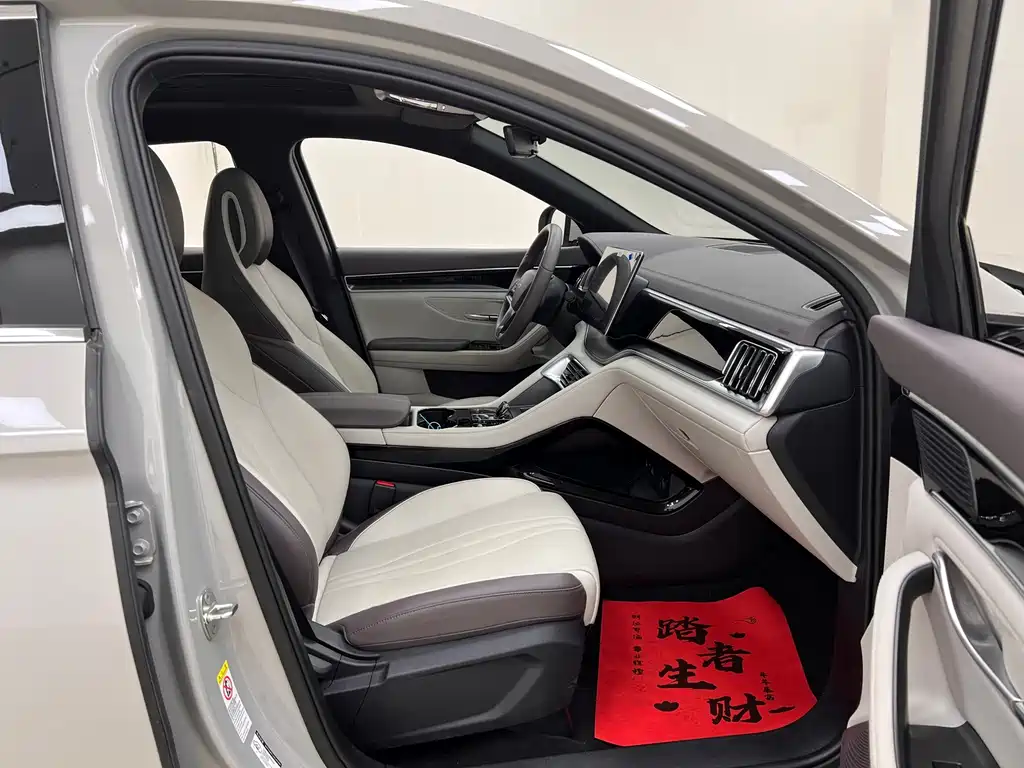 BYD PLUS New Energy — фото 29
