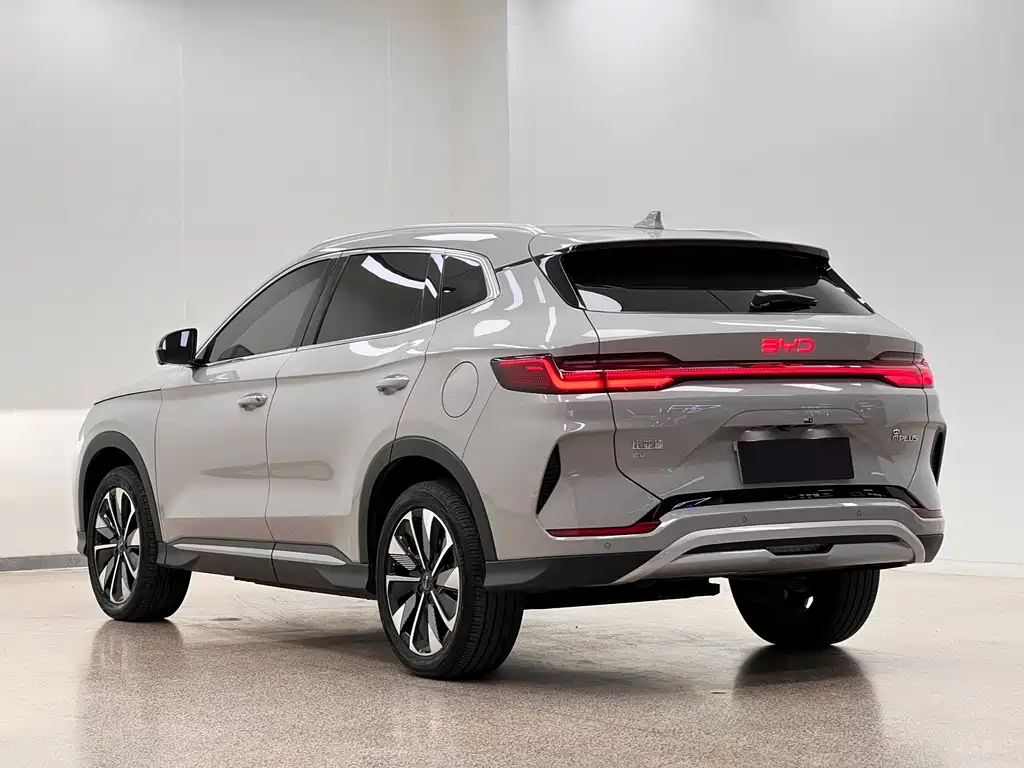 BYD PLUS New Energy — фото 4