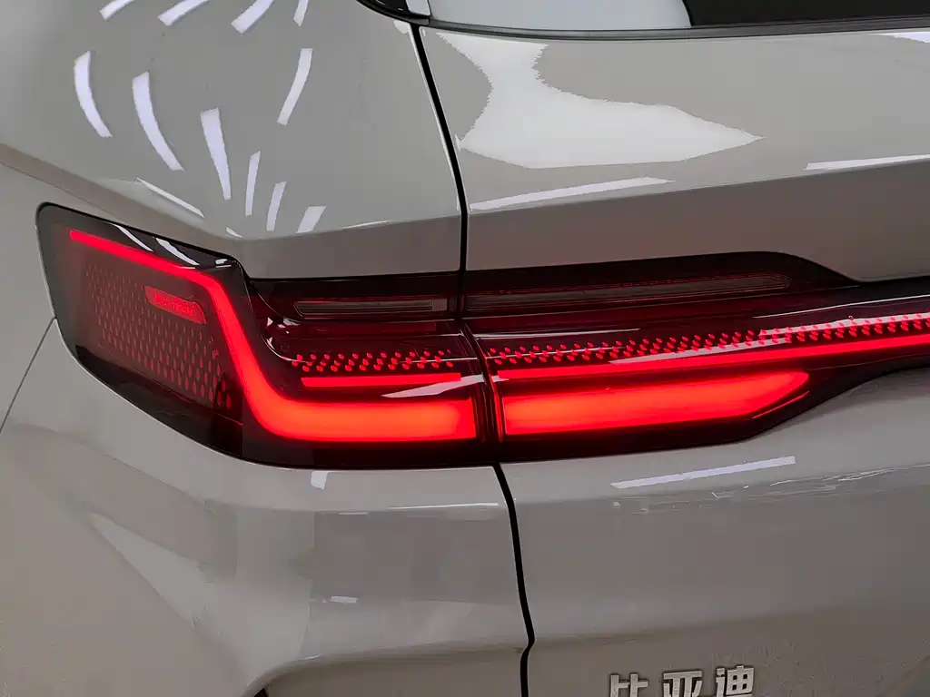 BYD PLUS New Energy — фото 9