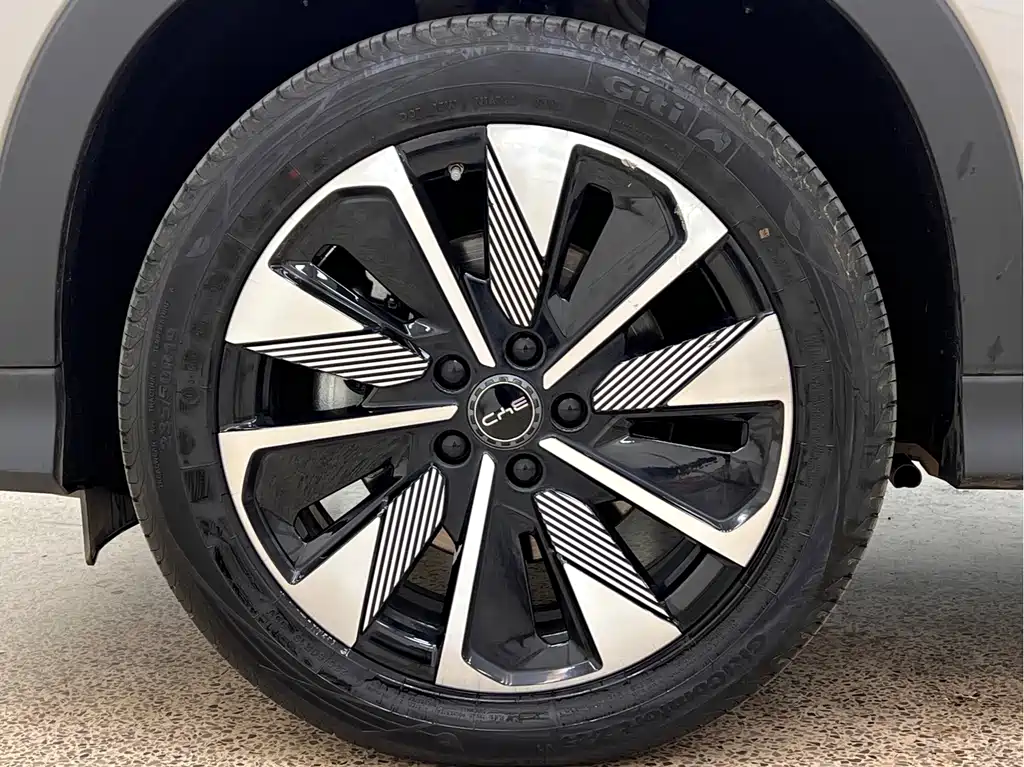 BYD PLUS New Energy — фото 10