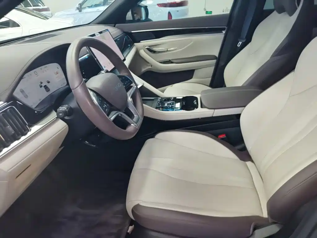 BYD PLUS New Energy — фото 14