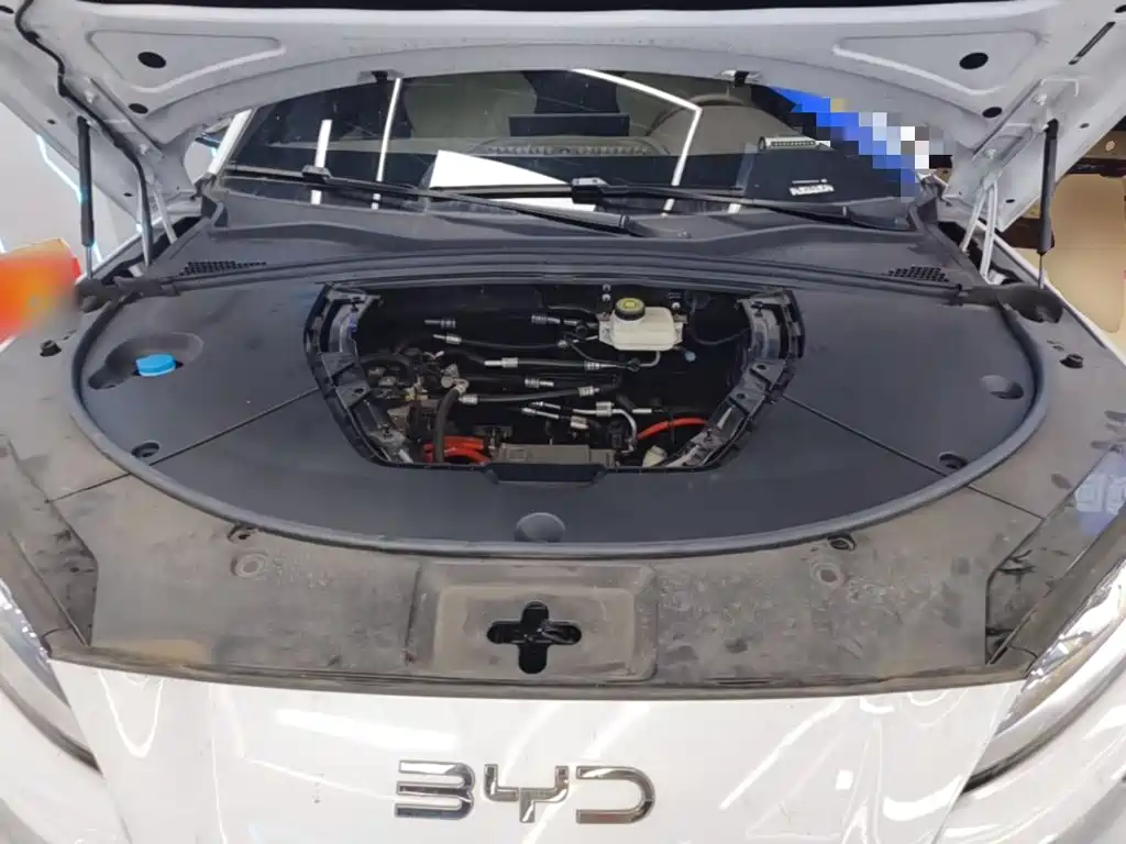 BYD PLUS New Energy — фото 19