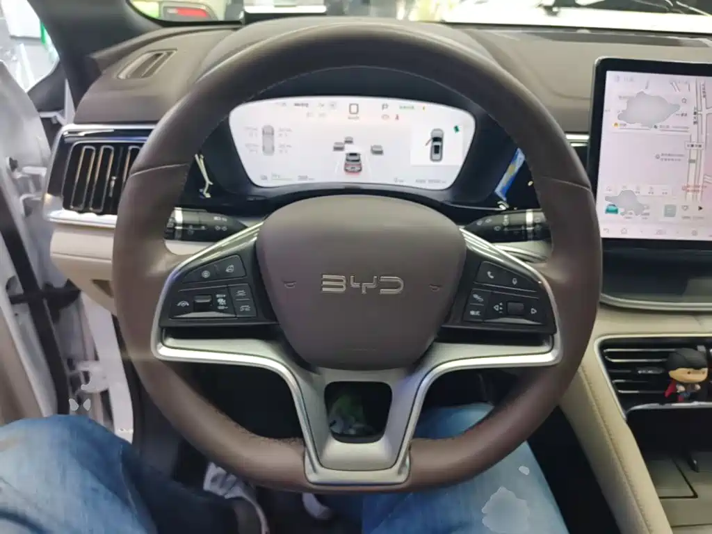 BYD PLUS New Energy — фото 10