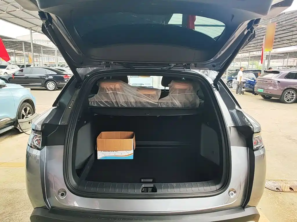 BYD L DM-i — фото 18