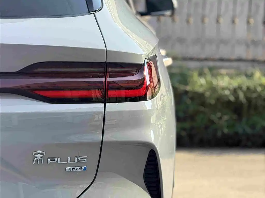 BYD PLUS New Energy — фото 11