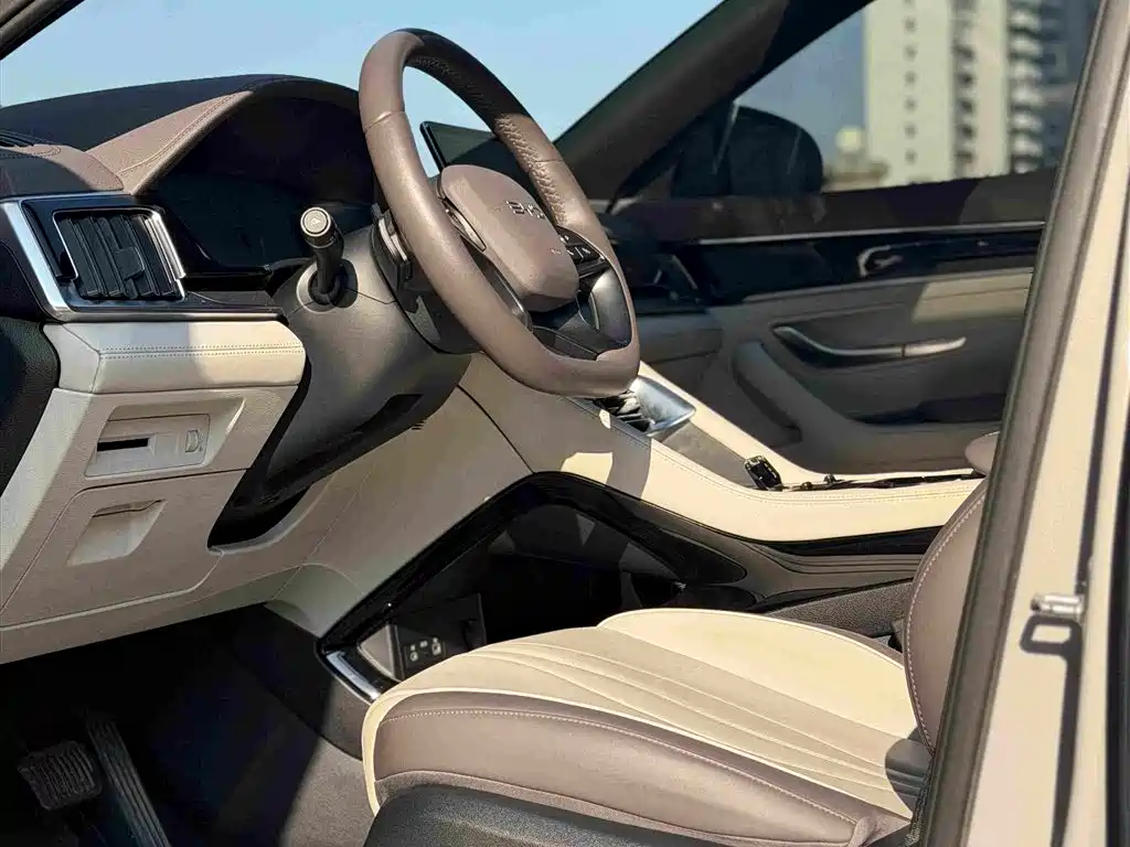 BYD PLUS New Energy — фото 14