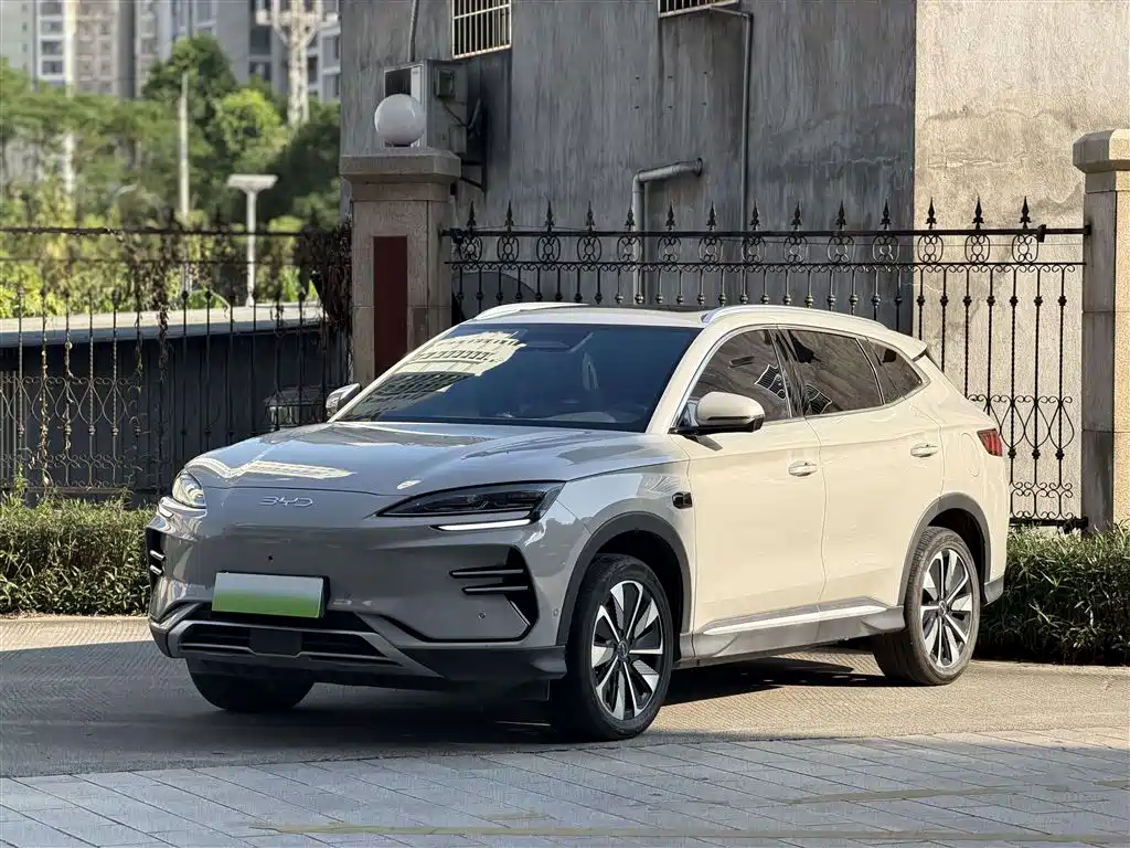 BYD PLUS New Energy — фото 19