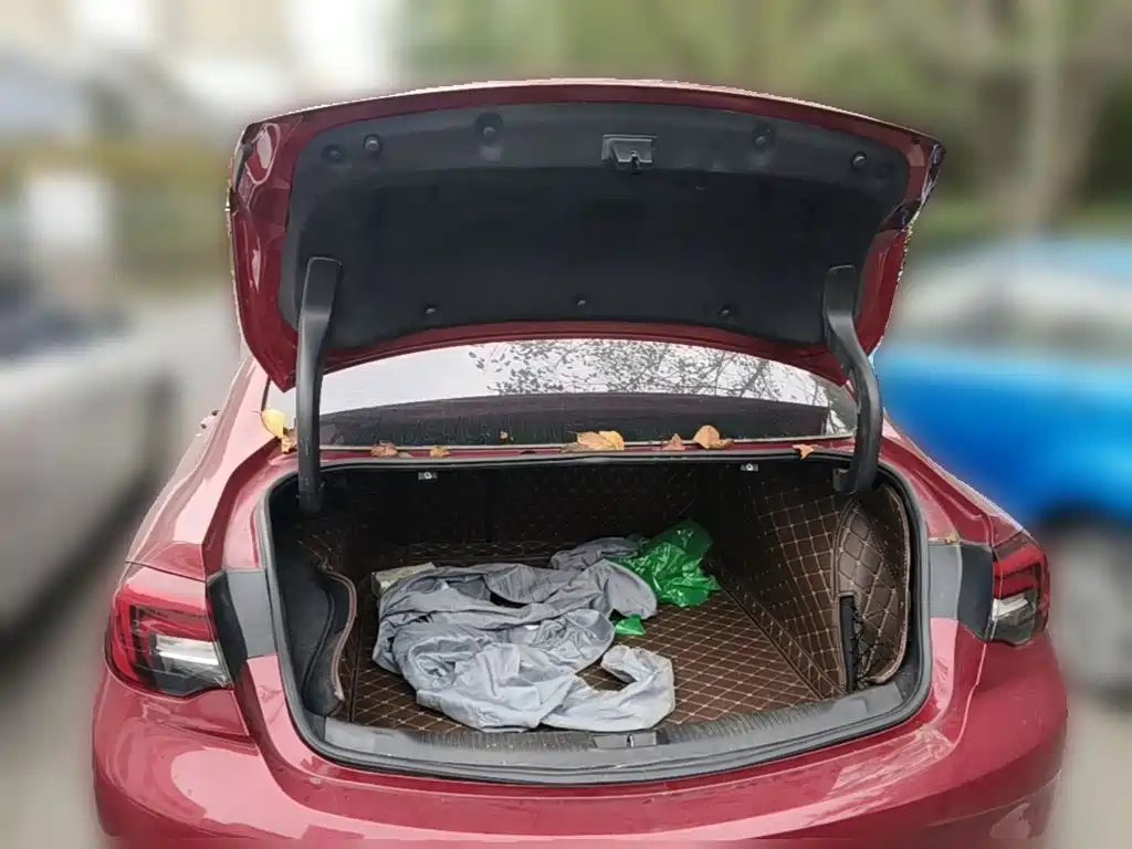 Buick Regal — фото 23