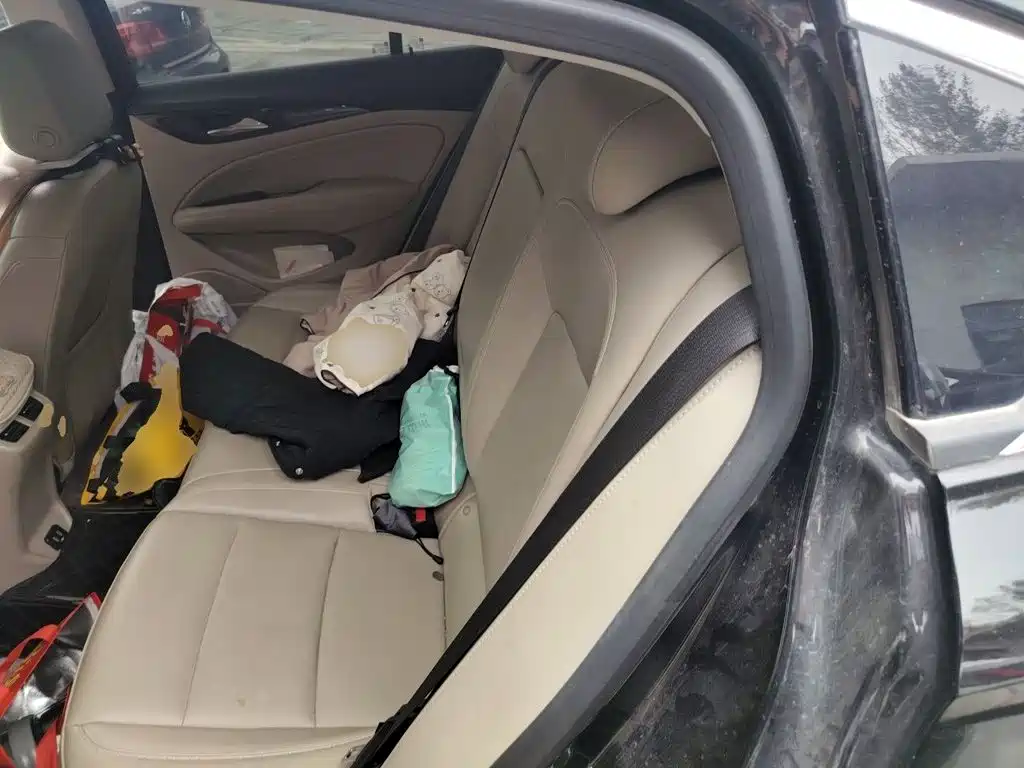 Buick Regal — фото 13