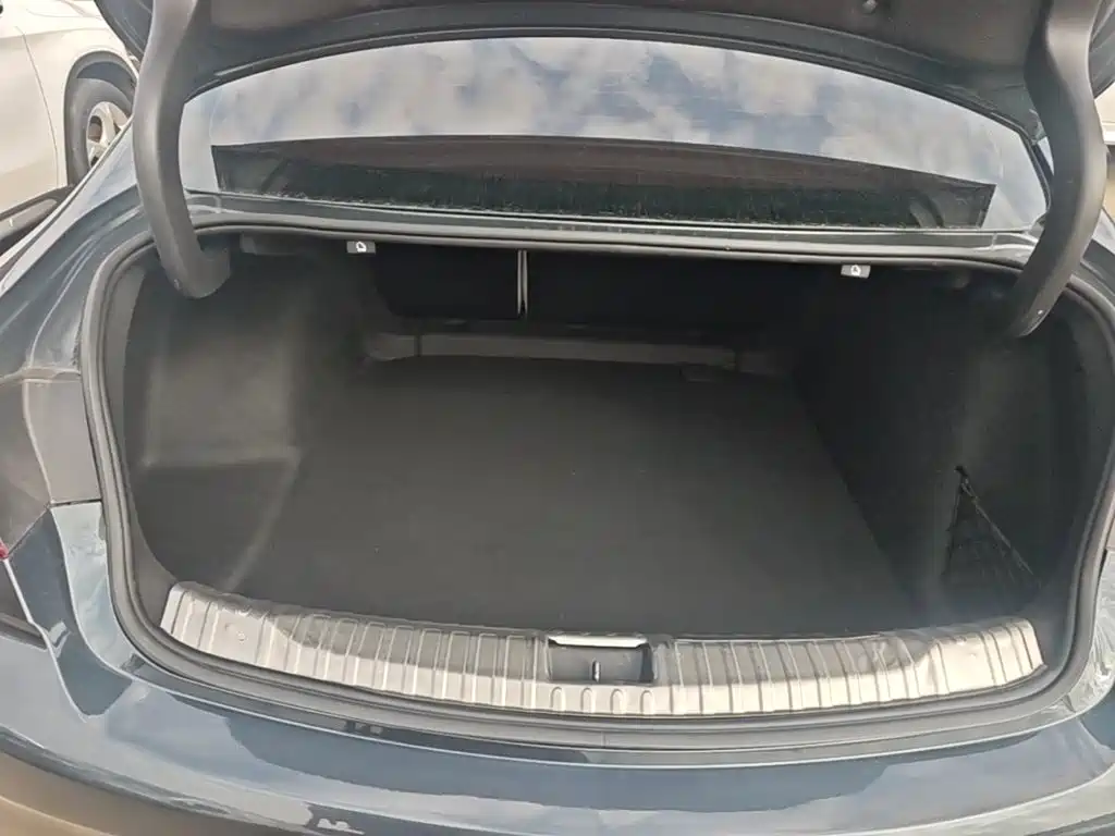 Buick Regal — фото 18