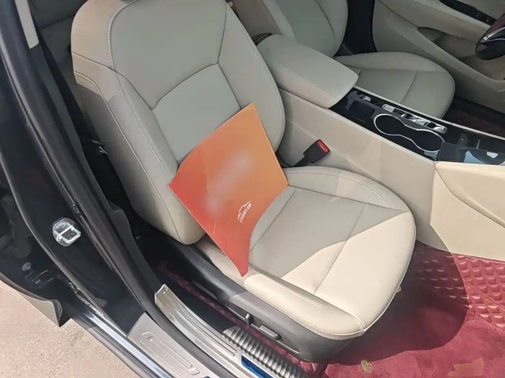Buick Regal — фото 24