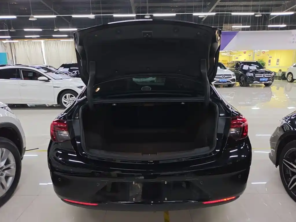 Buick Regal — фото 18
