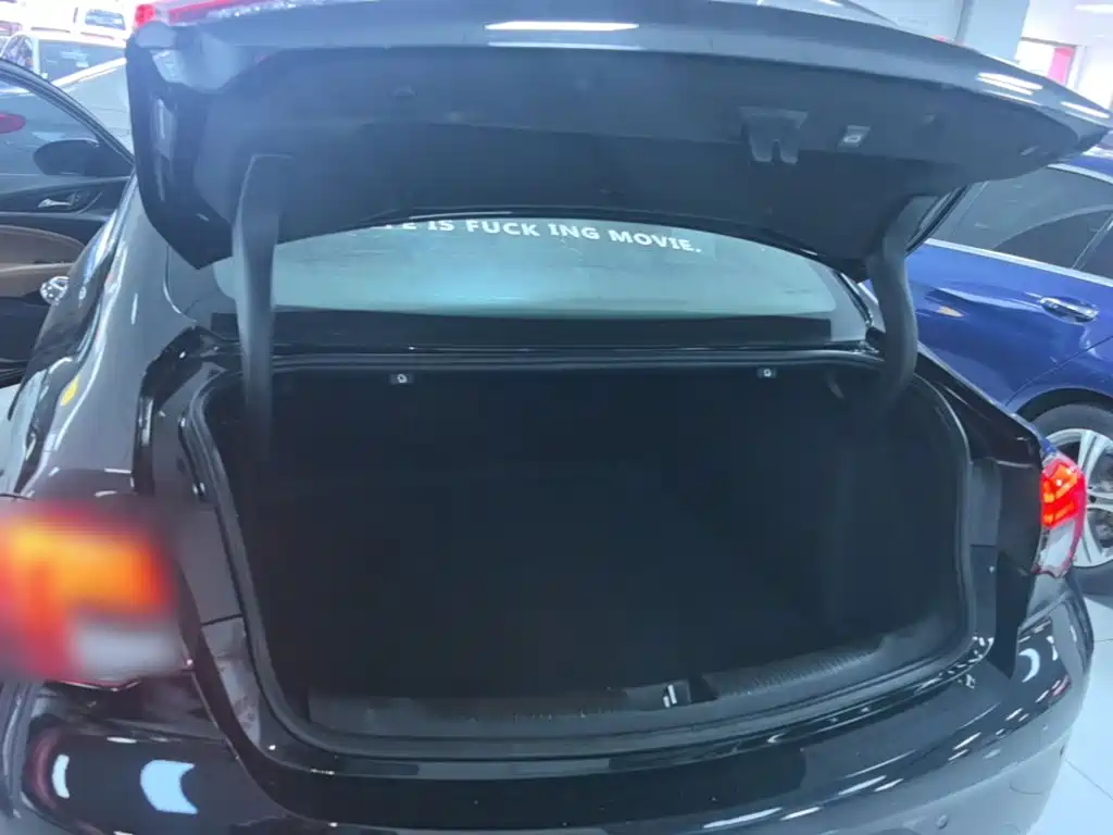 Buick Regal — фото 18