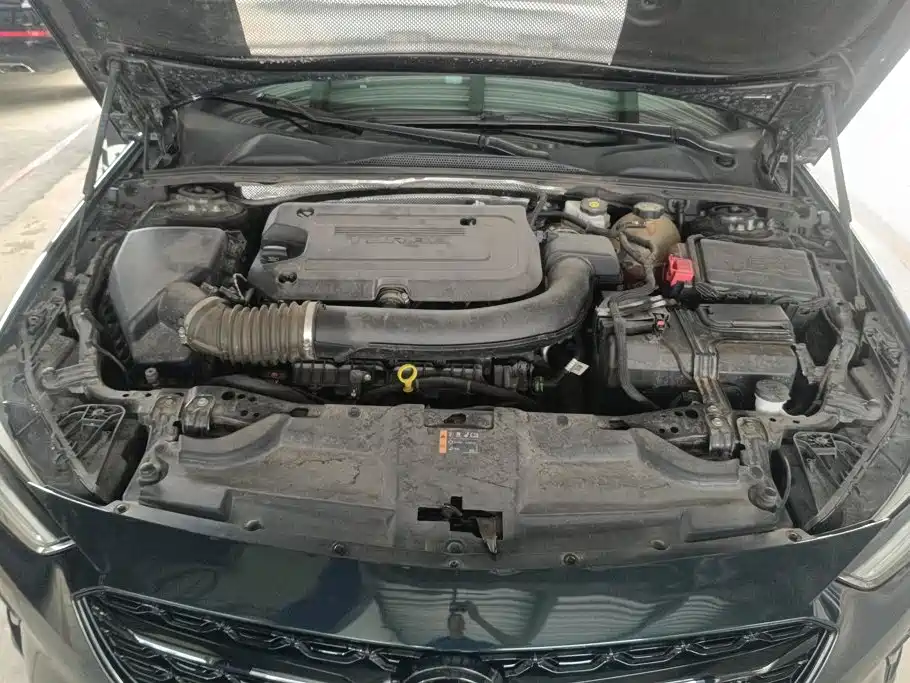 Buick Regal — фото 10