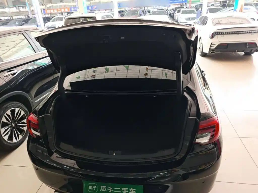 Buick Regal — фото 18