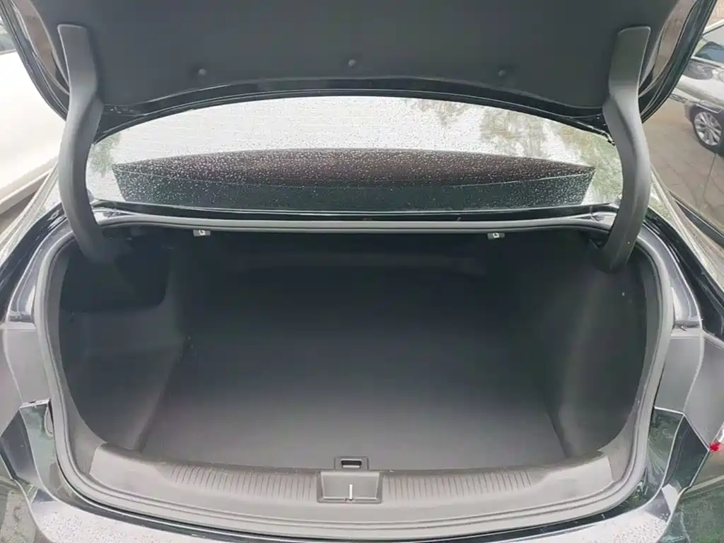 Buick Regal — фото 18