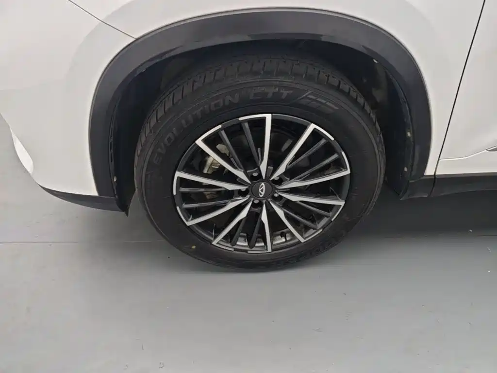 Chery Tiggo 8 PLUS — фото 22