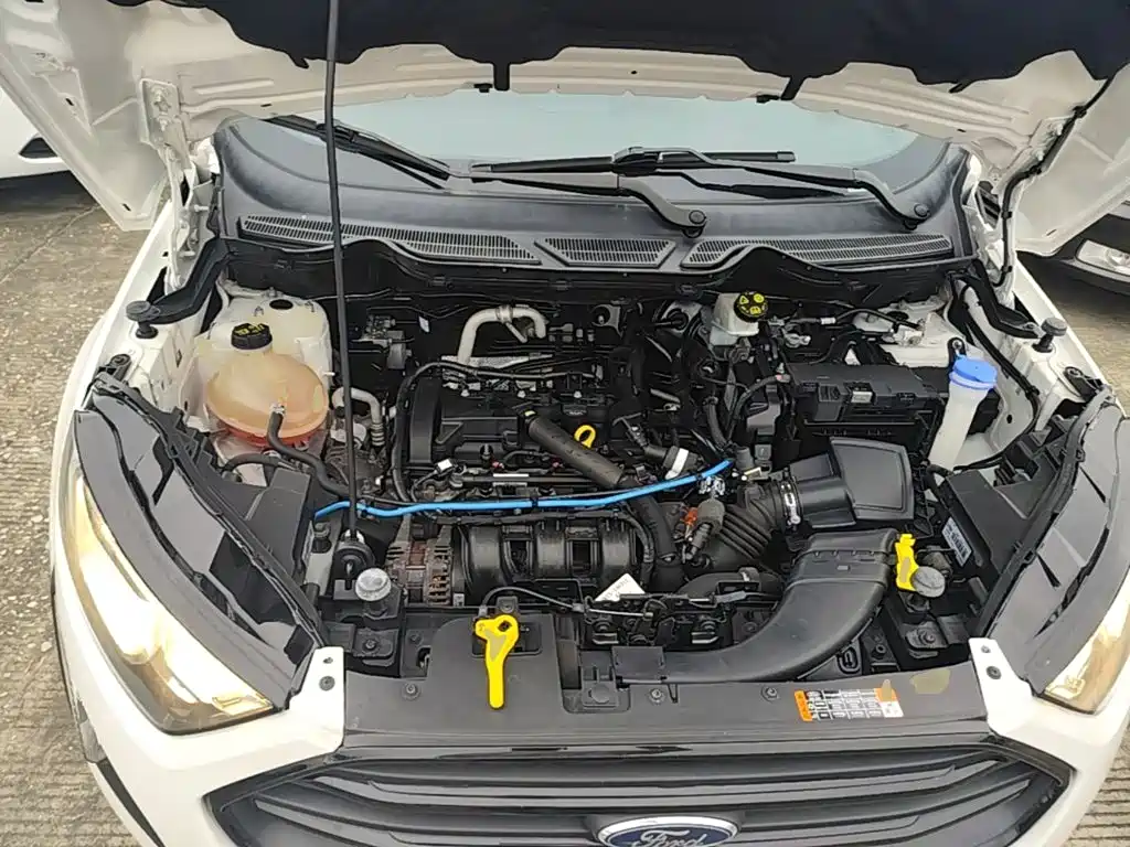 Ford Ecosport — фото 19