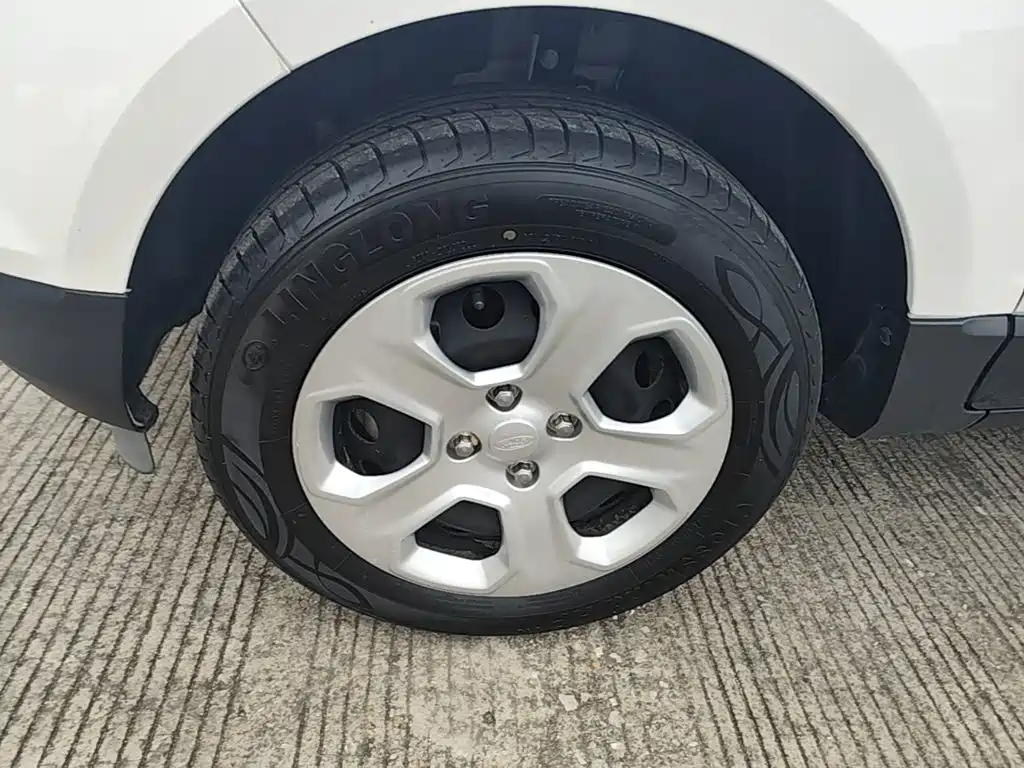 Ford Ecosport — фото 22