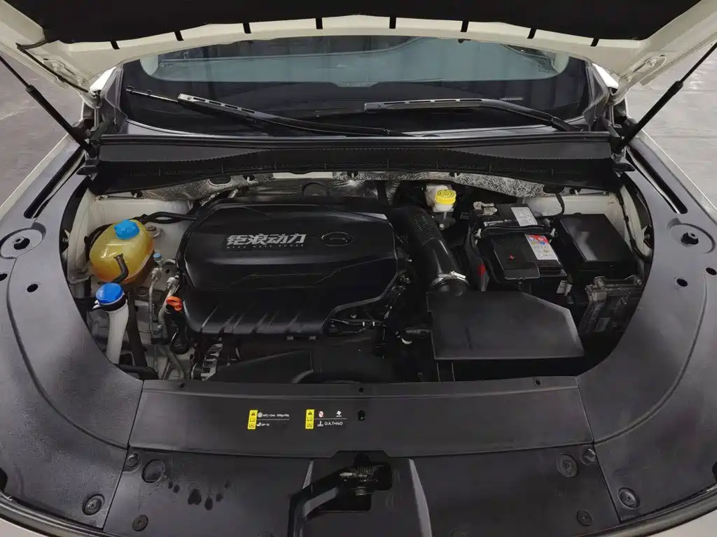 GAC Motor GS4 Plus — фото 6