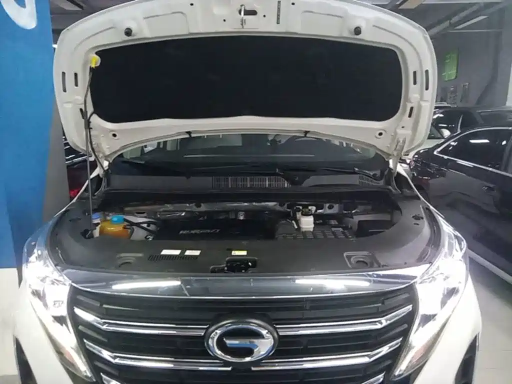 GAC Motor Trumpchi M8 — фото 19
