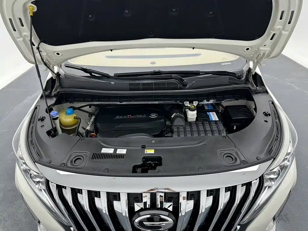 GAC Motor Trumpchi M8 — фото 23