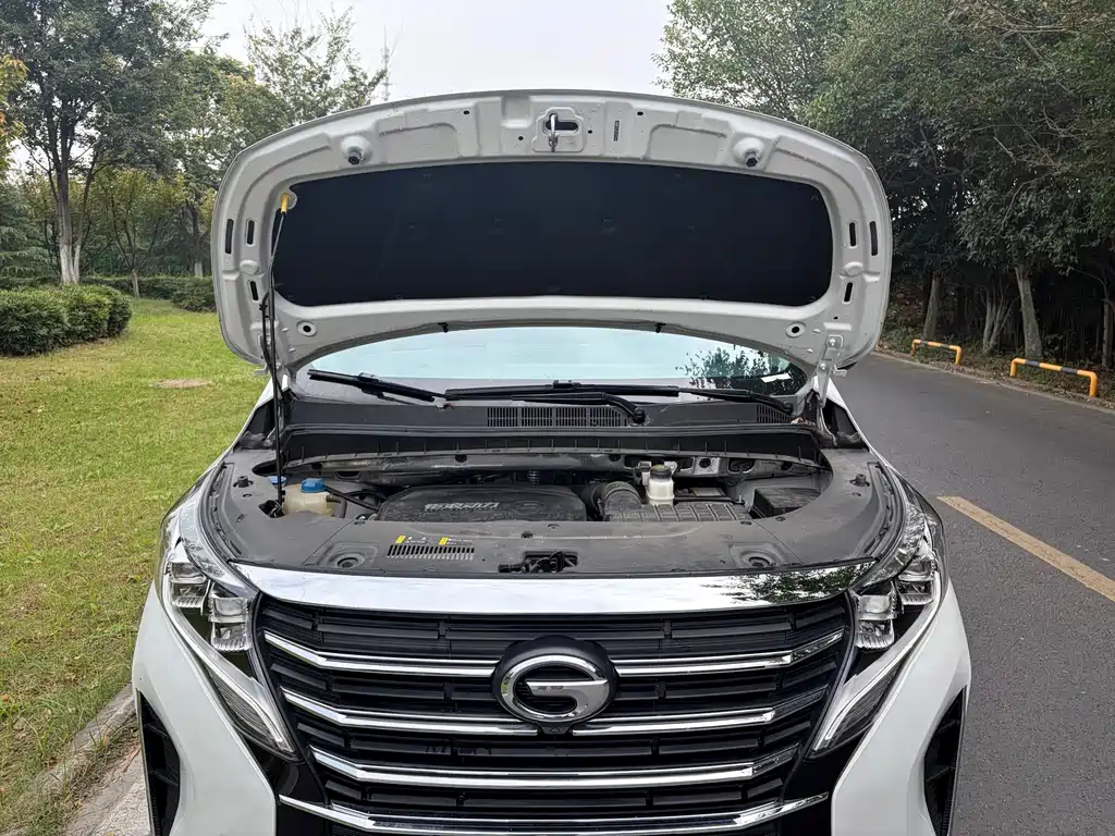 GAC Motor Trumpchi M8 — фото 10