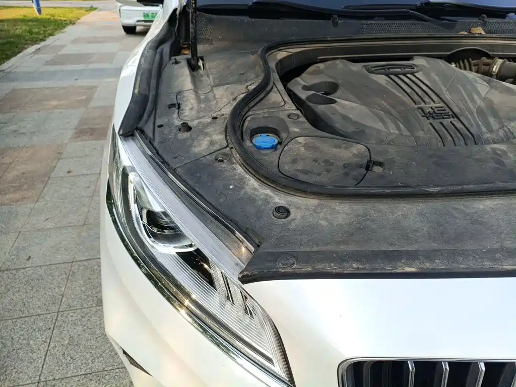 Geely Borui — фото 18
