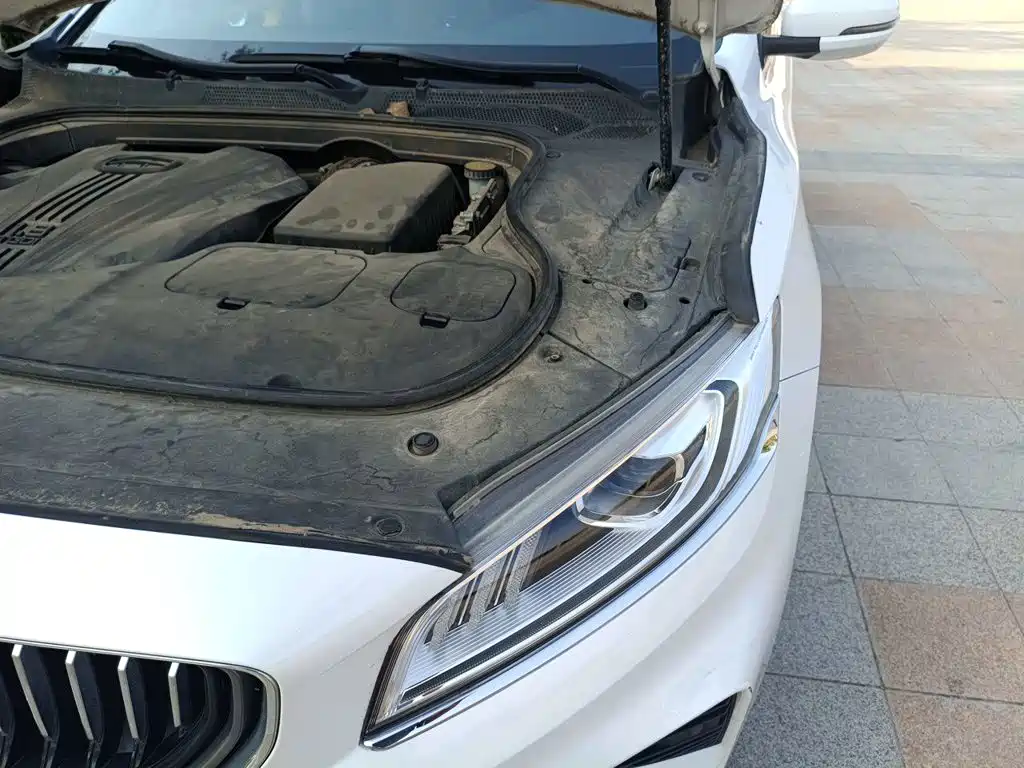 Geely Borui — фото 19