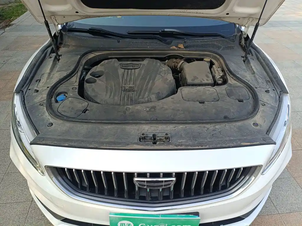 Geely Borui — фото 10
