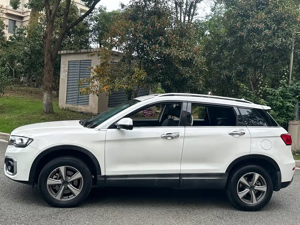 Haval H6 Coupe — фото 7