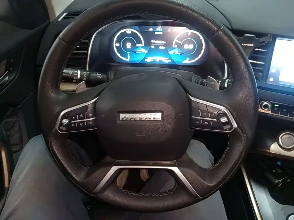 Haval H6 — фото 10