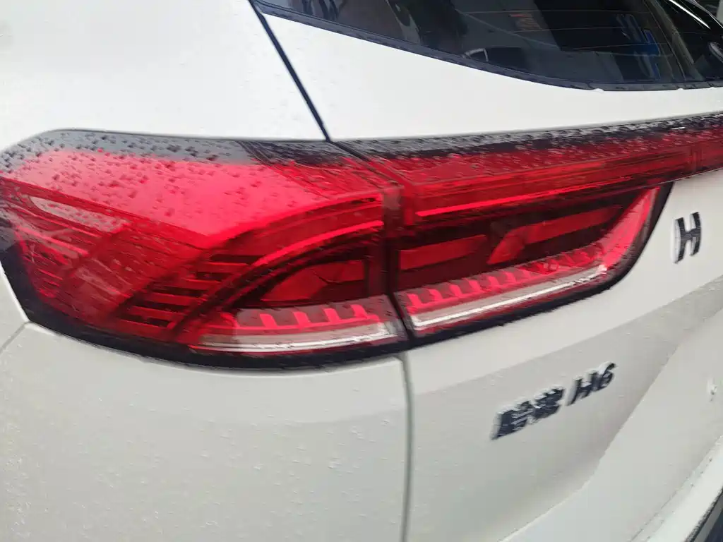 Haval H6 — фото 14