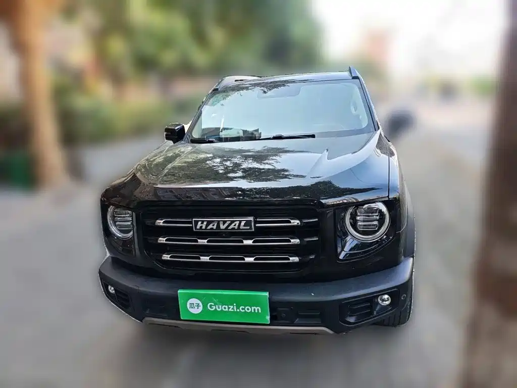Haval Big Dog — фото 2