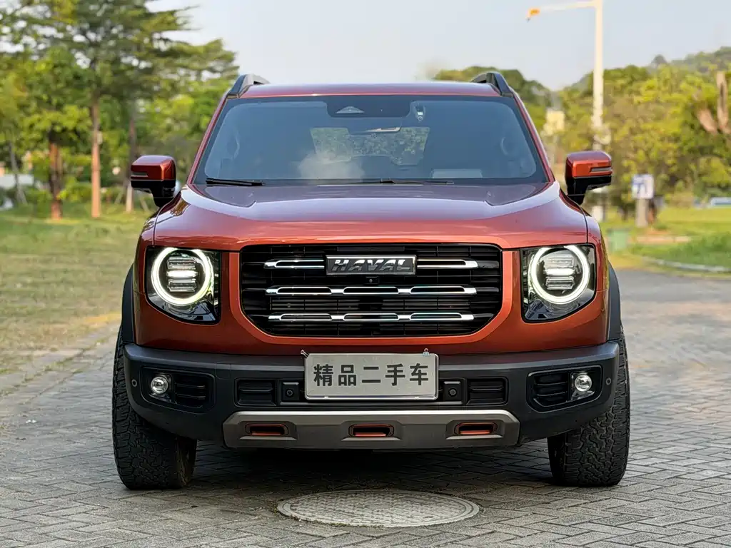 Haval Big Dog — фото 2