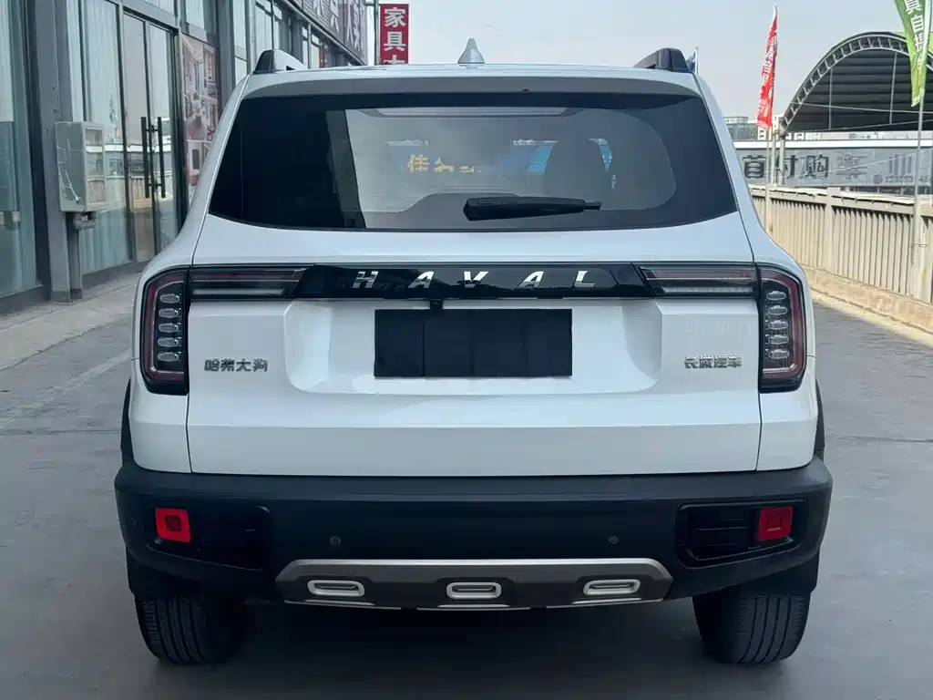 Haval Big Dog — фото 5