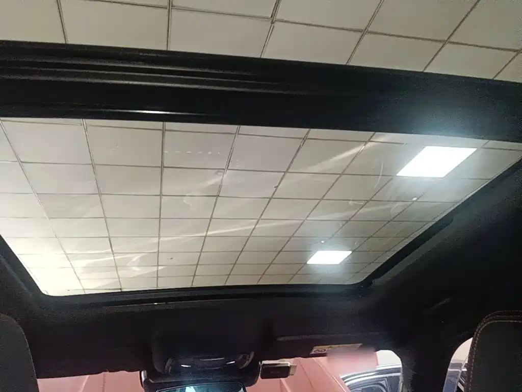 Haval Big Dog — фото 17