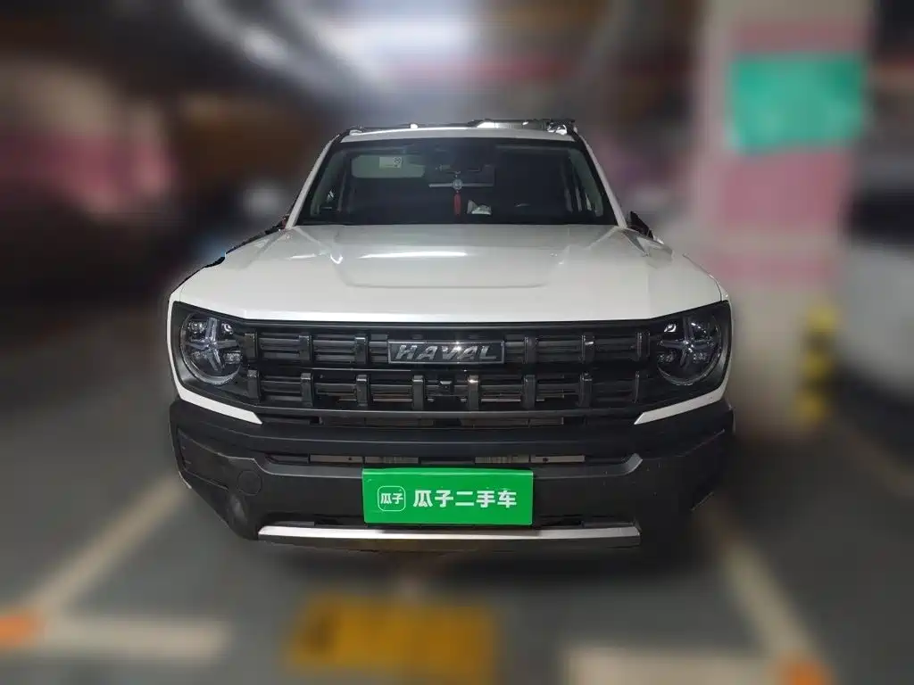 Haval Cool Dog — фото 23