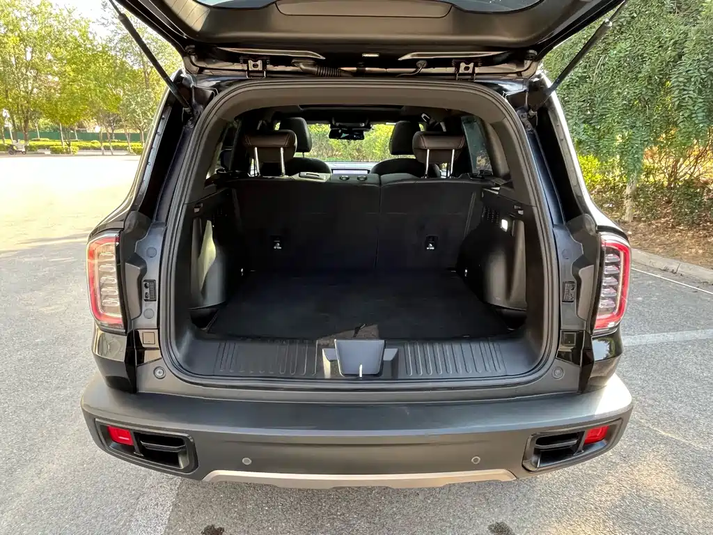 Haval Big Dog — фото 17