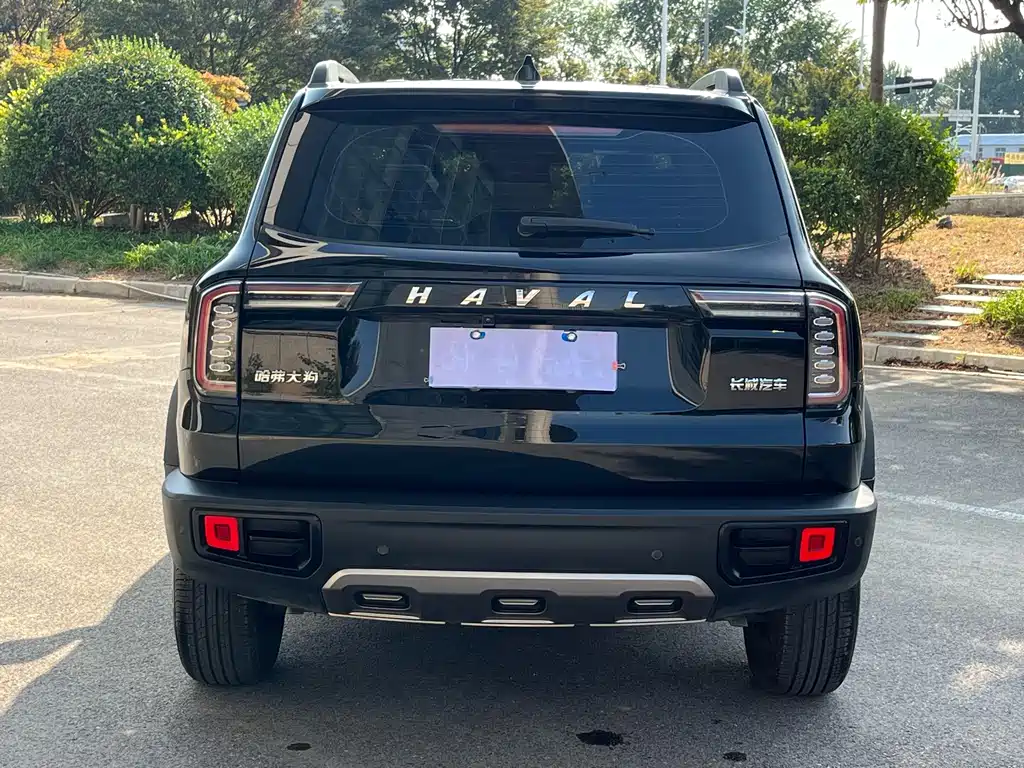 Haval Big Dog — фото 5
