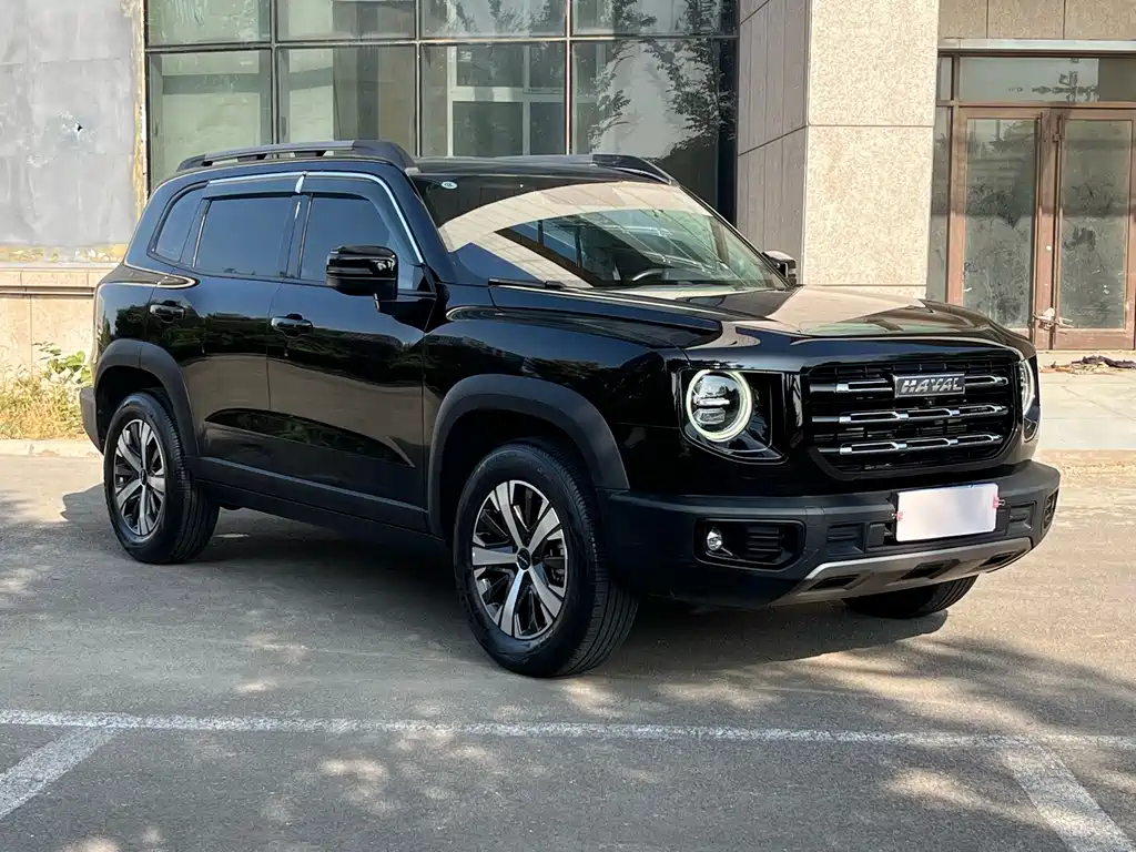Haval Big Dog — фото 8